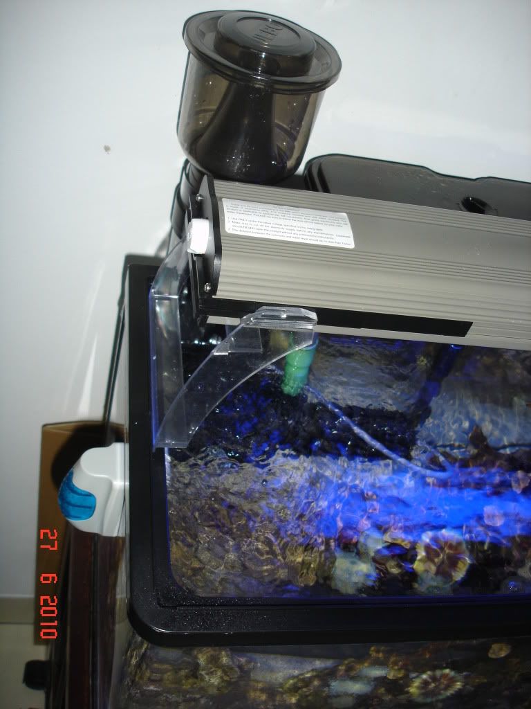 DSC01363.jpg