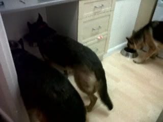 IMG00139-20111024-1919-1.jpg