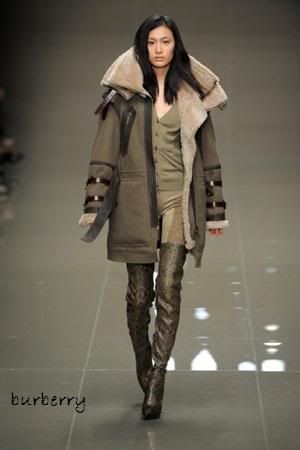 burberry