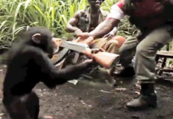 [Image: monkey_warrior-0001_zps276ea0e3.jpg]
