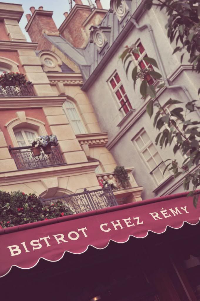  photo ratatouille-disney-02.jpg