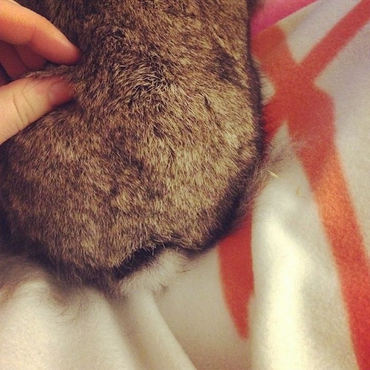 photo dessousdemarine-622603240886217860_1980490.jpeg