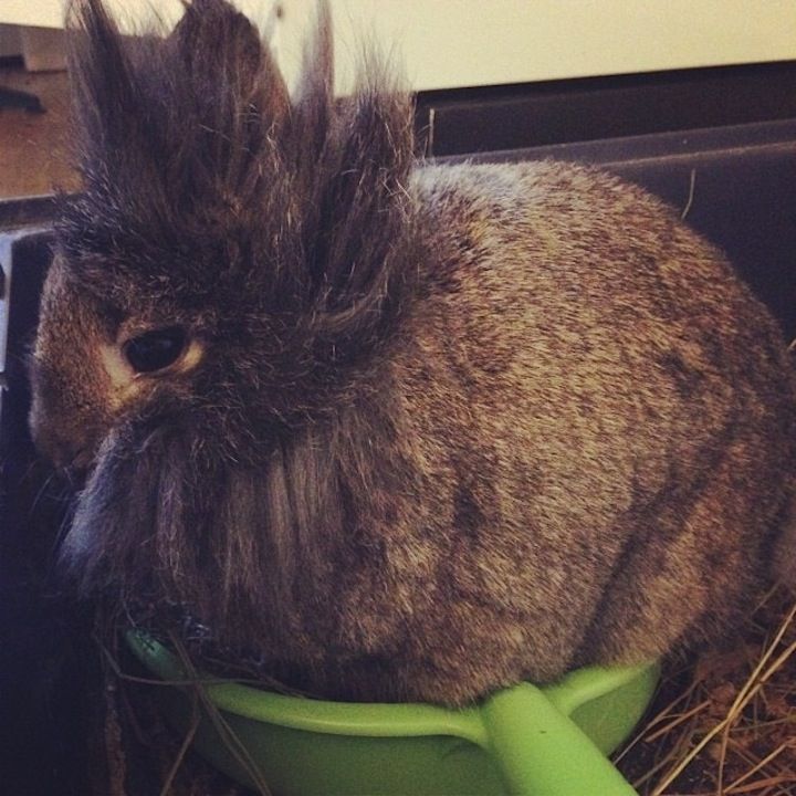  photo dessousdemarine-623114161773588340_1980490.jpeg