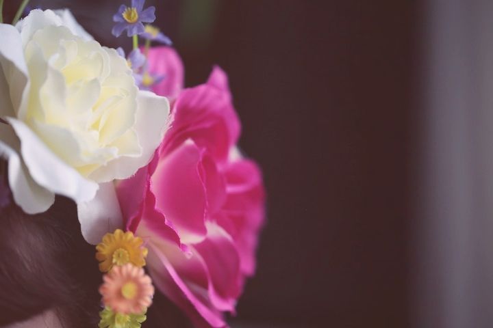  photo IMG_8334JPG_effected.jpg