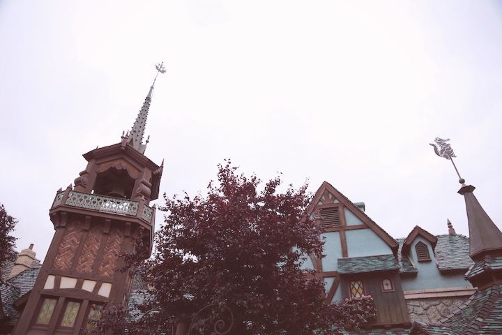 photo IMG_4432JPG_effected.jpg