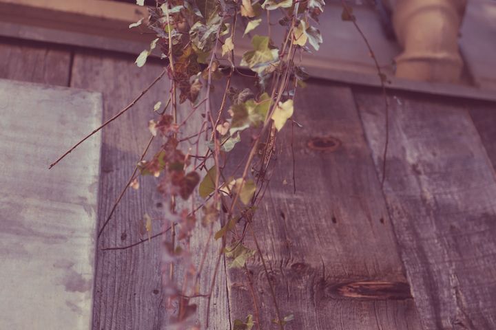  photo hidden-hotel-39.jpg