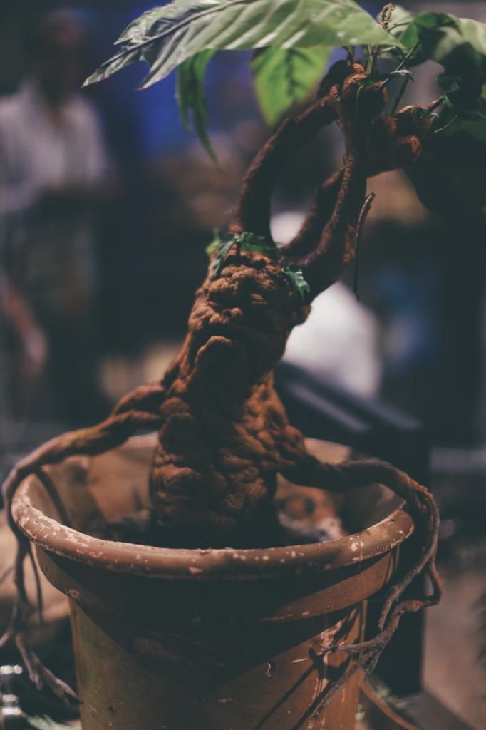  photo studios-harry-potter-1015.jpg