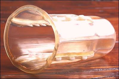 female condom with teeth Pictures, Images and Photos