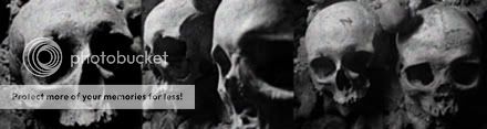 skull header Pictures, Images and Photos